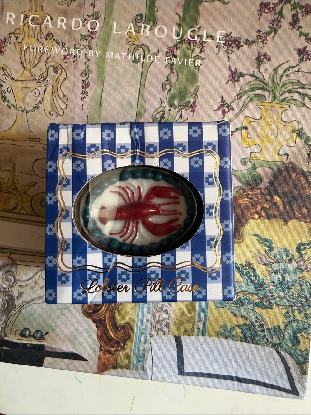 Urban Outfitters Blue & White Checked Lobster Pill Case